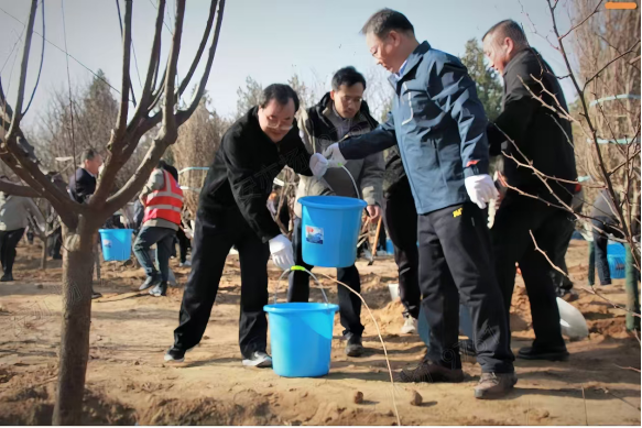 W020250313358329830689 W020250313358329830689